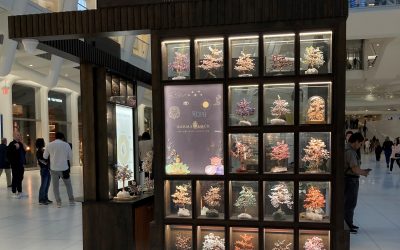 Retail tour NY : Karma and Luck et Venus et Fleur